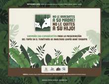 Campaña Edu-Comunicativa para la prevención del Tapir
