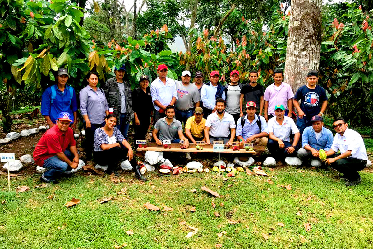 URACCAN realiza intercambio de experiencias con productores de cacao en Rancho Grande