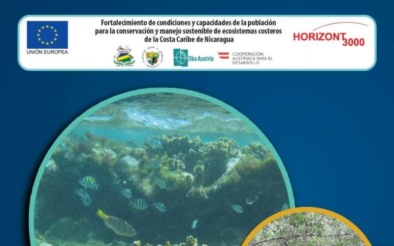 ndice de Salud Arrecifal (ISA) en los arrecifes coralinos de Cayos Miskitos (IREMADES)