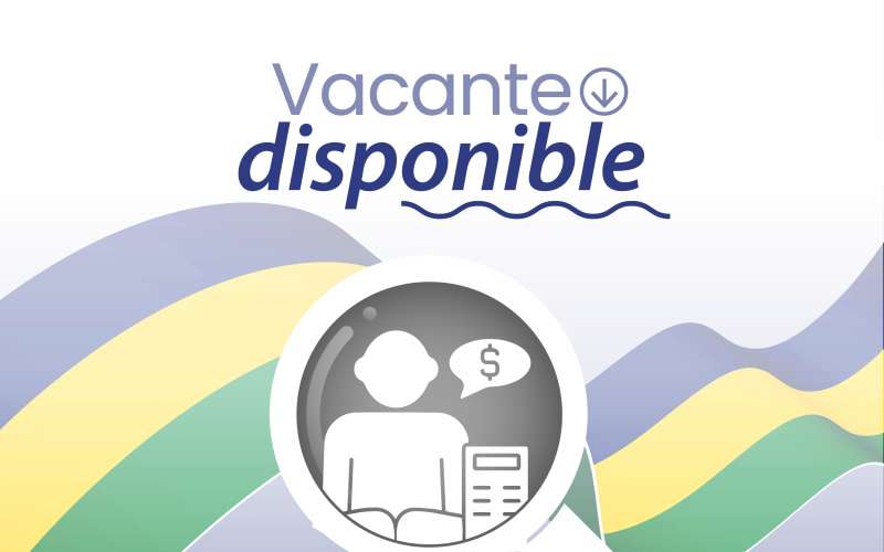Licitación para el cargo denominado Contador Oficina de Enlace, Managua 
