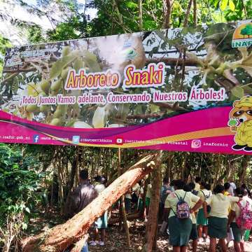Inauguración de Arboretum Snaki en el Caribe Norte